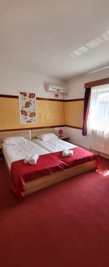 Pensiune Restaurant Arconi Năvodari Esterno foto