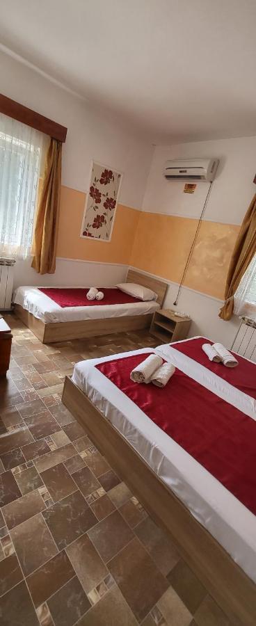 Pensiune Restaurant Arconi Năvodari Esterno foto